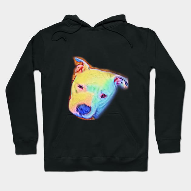Pitbull Hoodie by Pastoress Smith